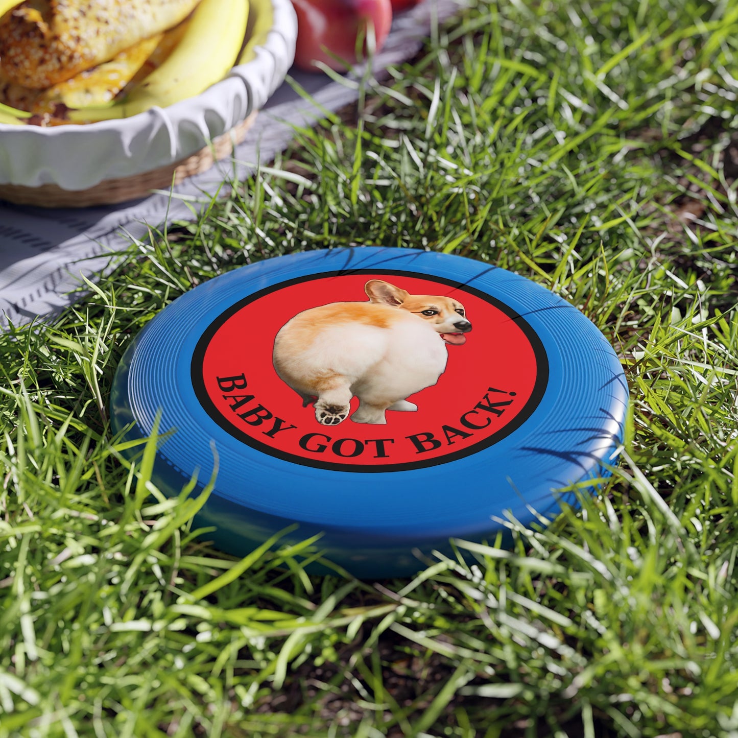 Baby Got Back - Wham-O Frisbee