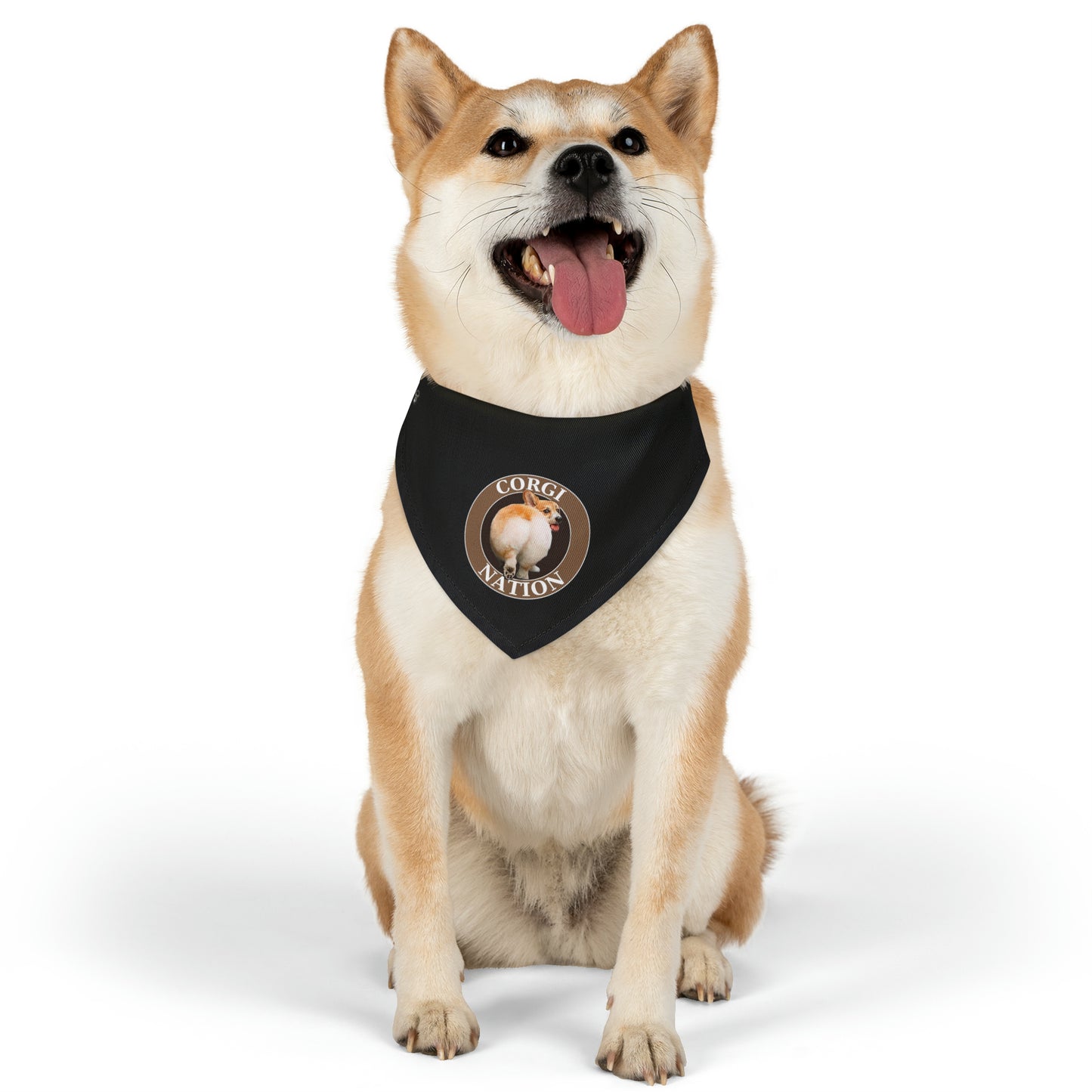 Corgi Nation -  Bandana Collar