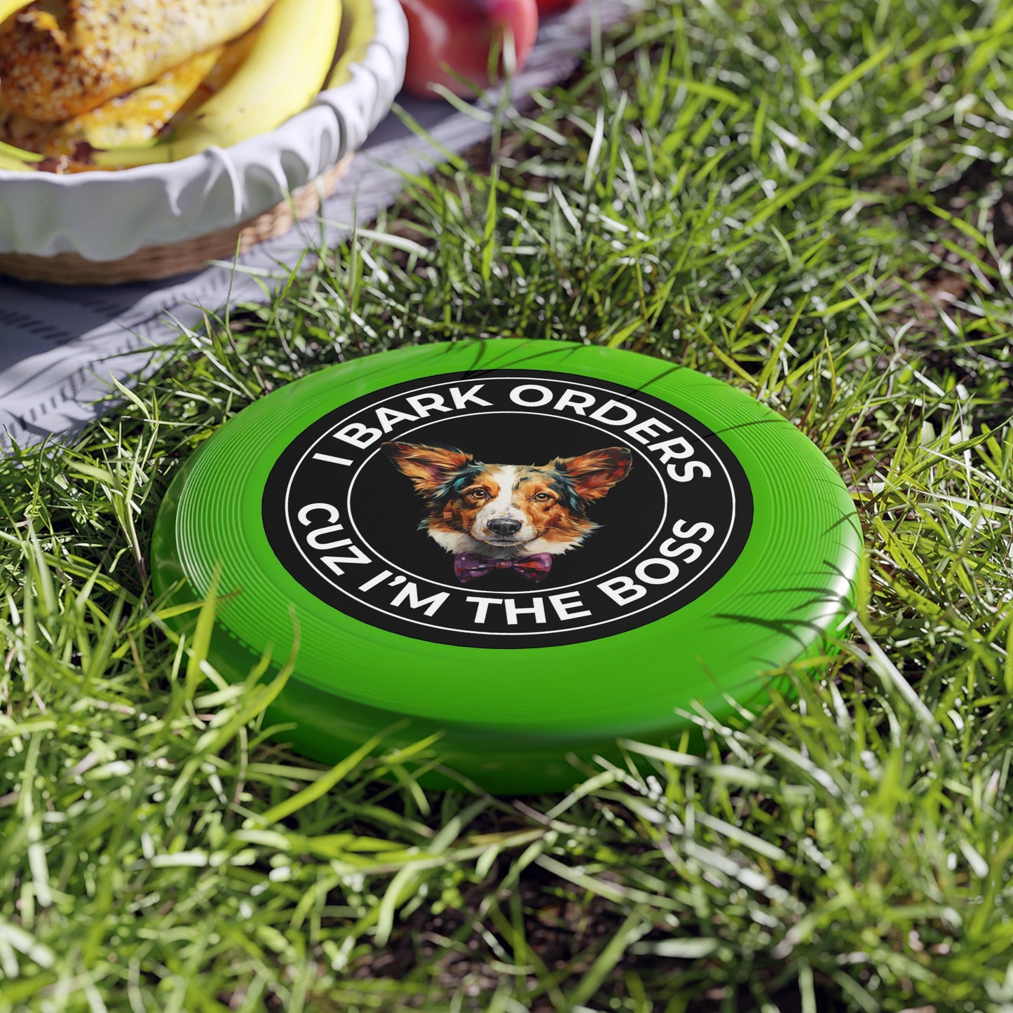 The Boss - Wham-O Frisbee