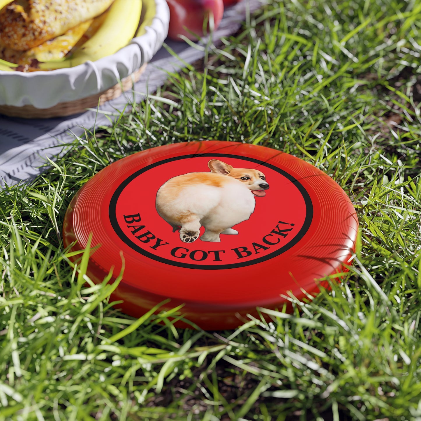 Baby Got Back - Wham-O Frisbee