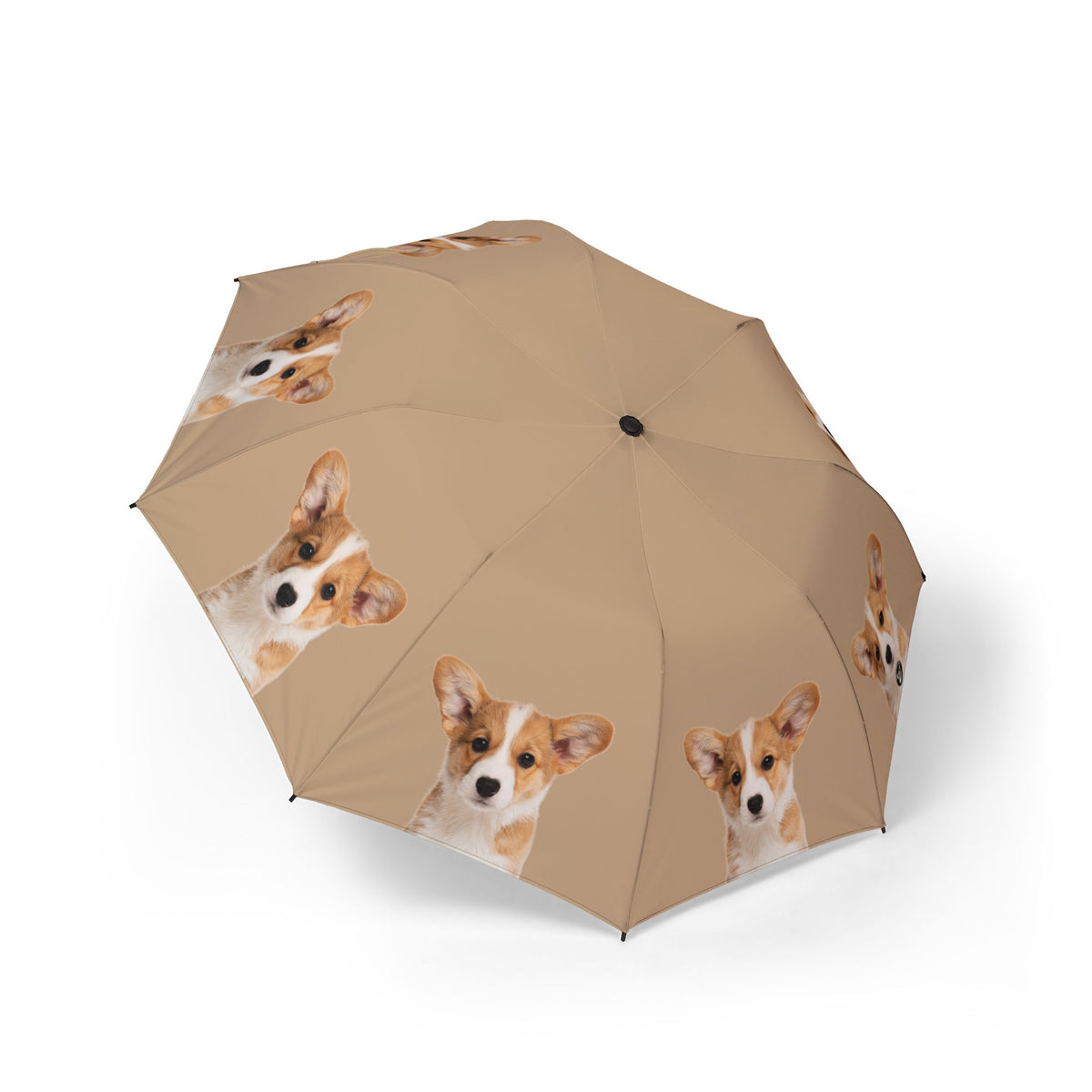 Delightfully Precious Corgi Puppy Face Foldable Umbrella — Compact Semi‑Automatic Rain Parasol for Dog Lovers
