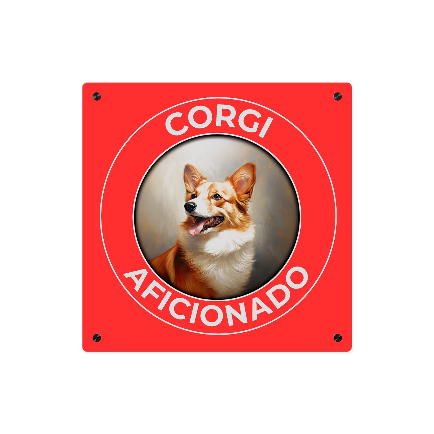 Corgi Aficionado on Acrylic