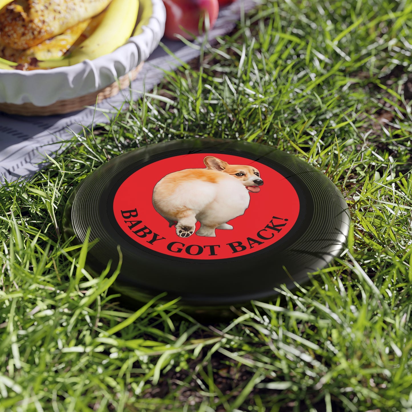 Baby Got Back - Wham-O Frisbee