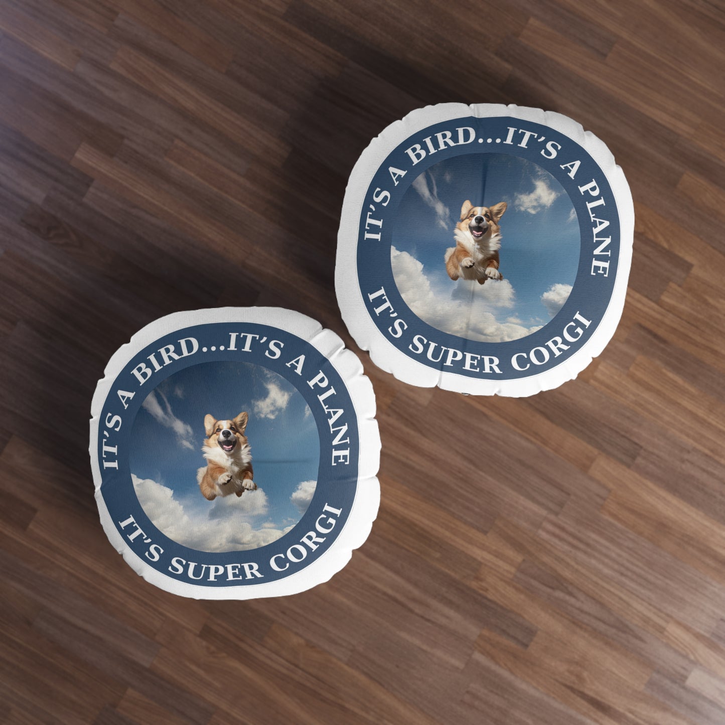 Super Corgi - Floor Pillow
