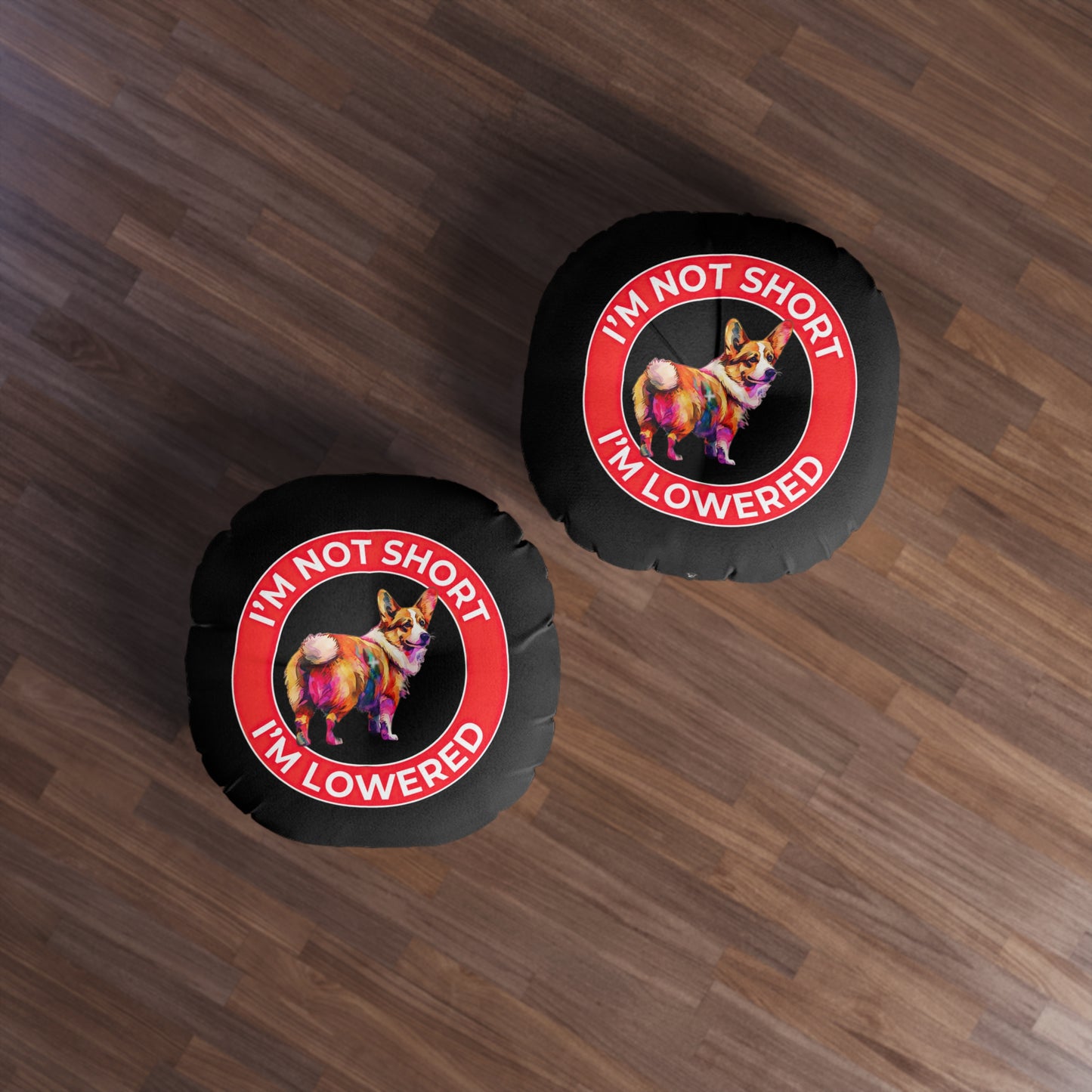 Lowrider - Floor Pillow