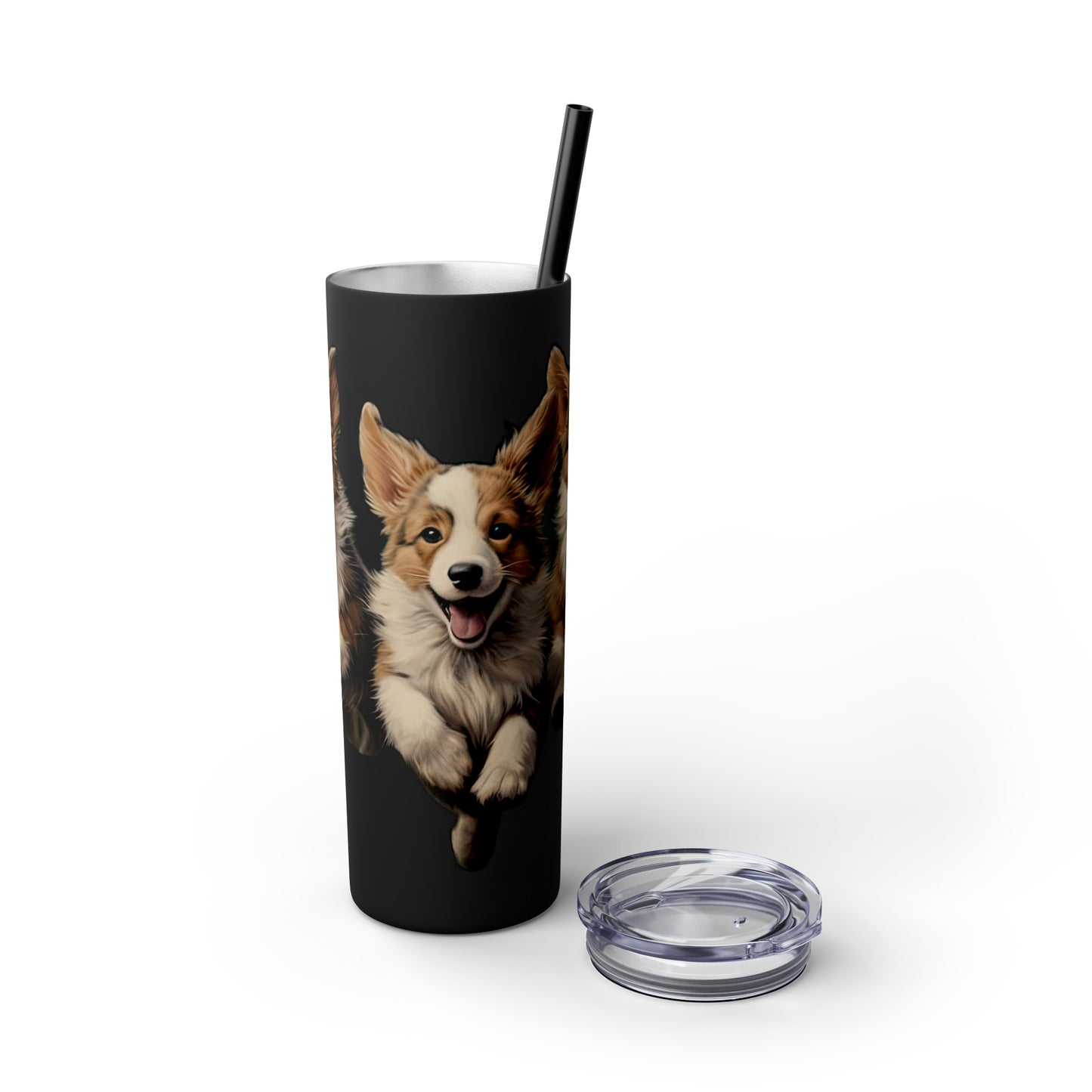 Corgi Enthusiasm - Tumbler