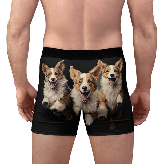 Corgi Enthusiasm Boxer Briefs