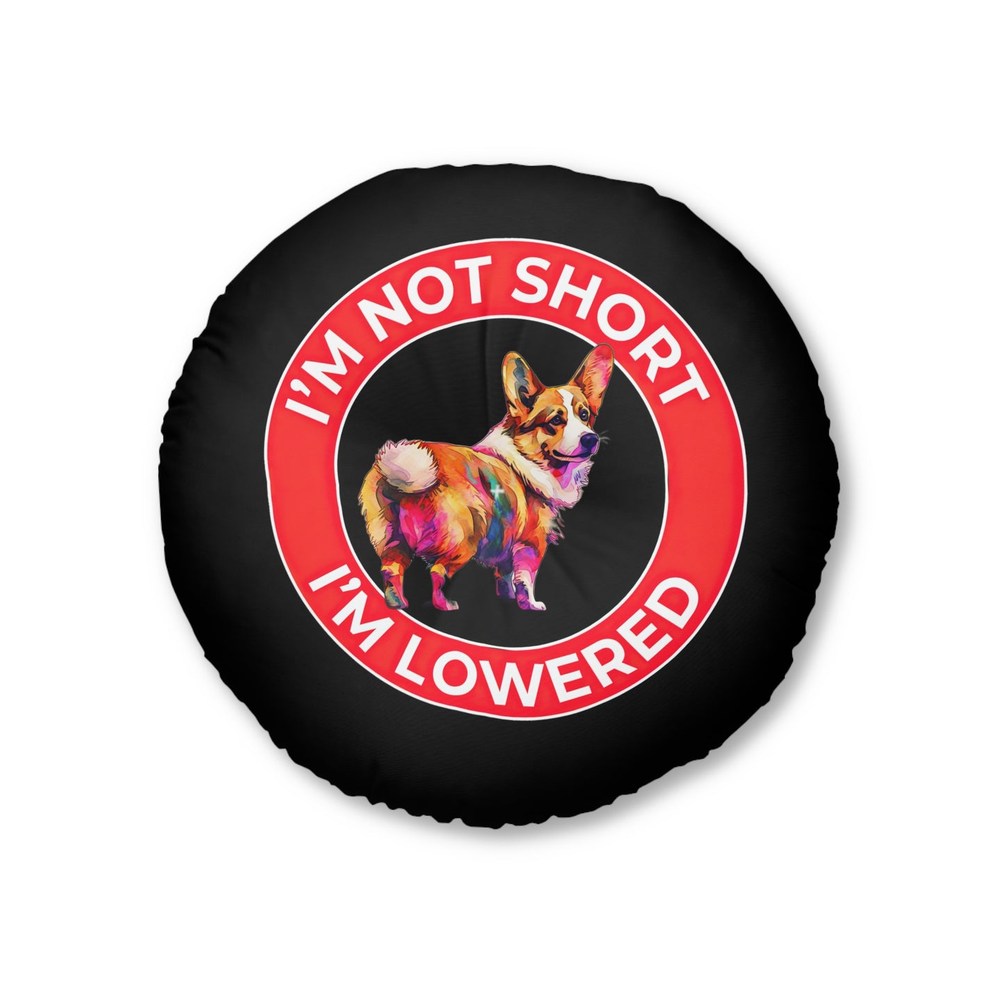 Lowrider - Floor Pillow