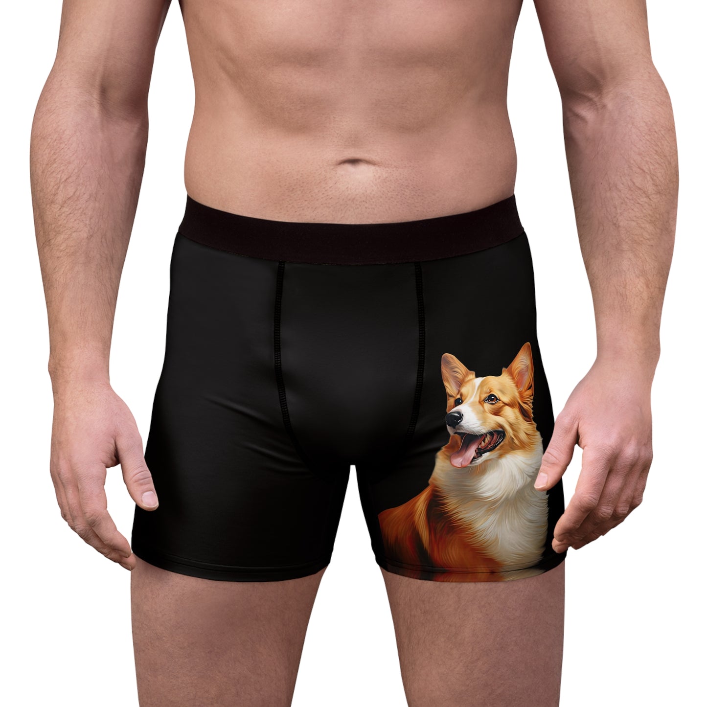 Pembroke Portrait Boxer Briefs!