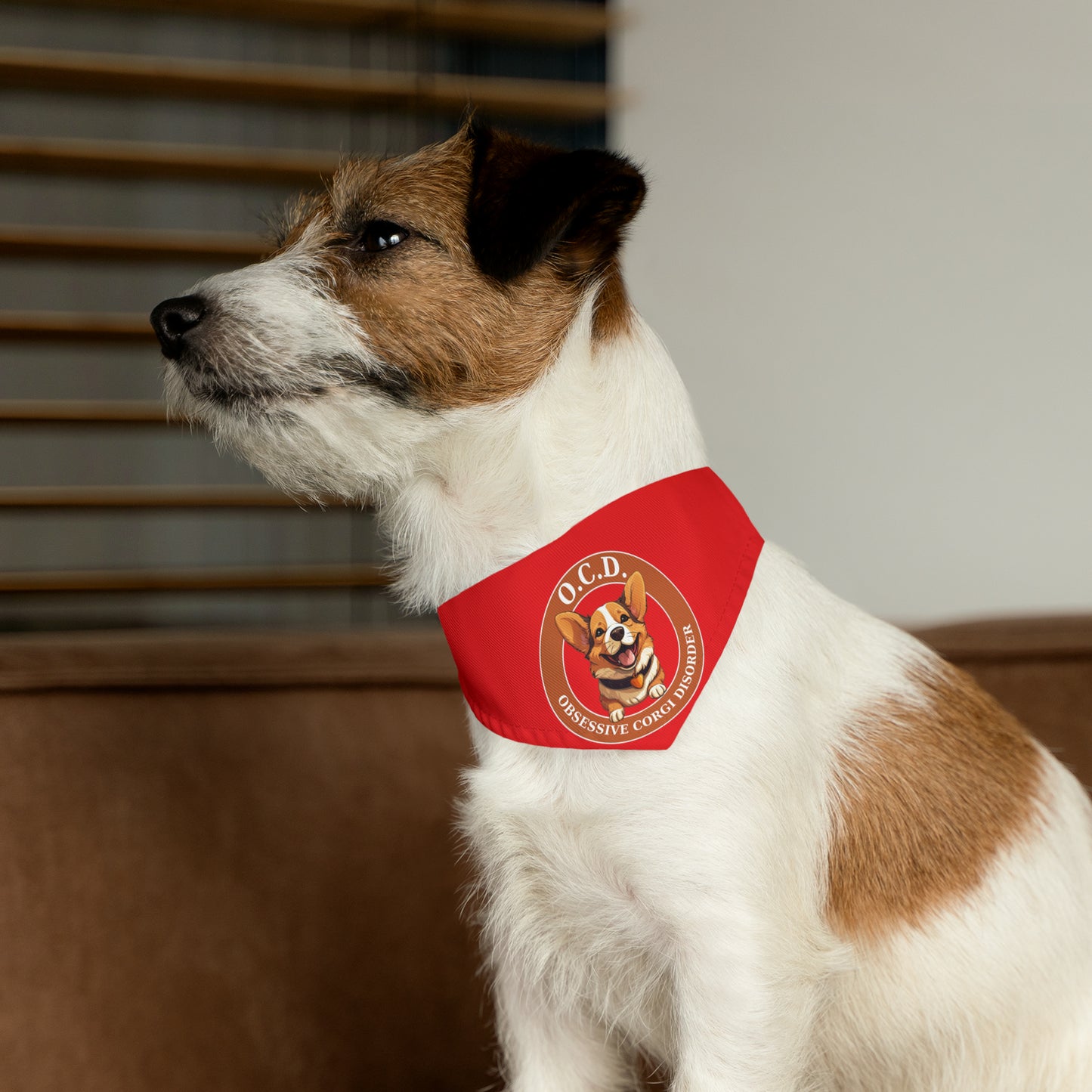 O.C.D. Obsessive Corgi Disorder - Bandana Collar