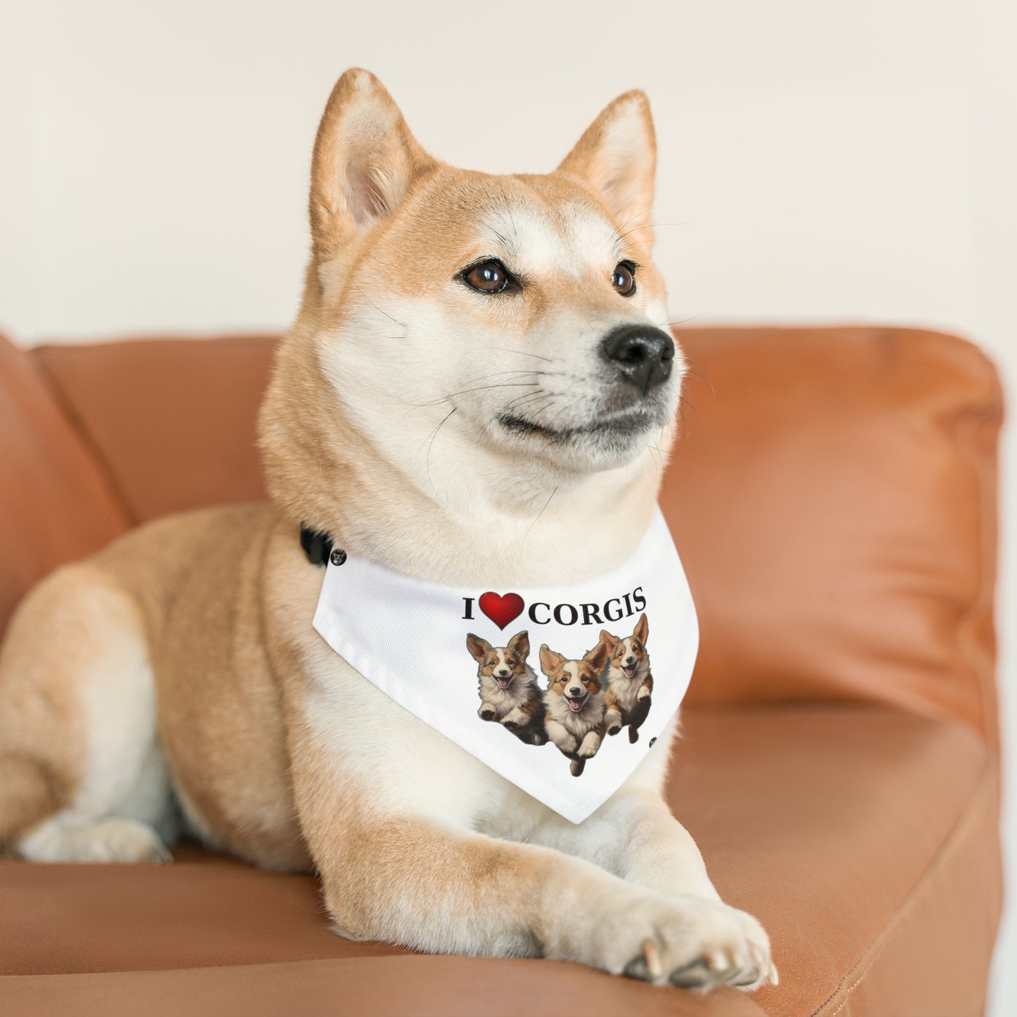 I Heart Corgis - Bandana Collar