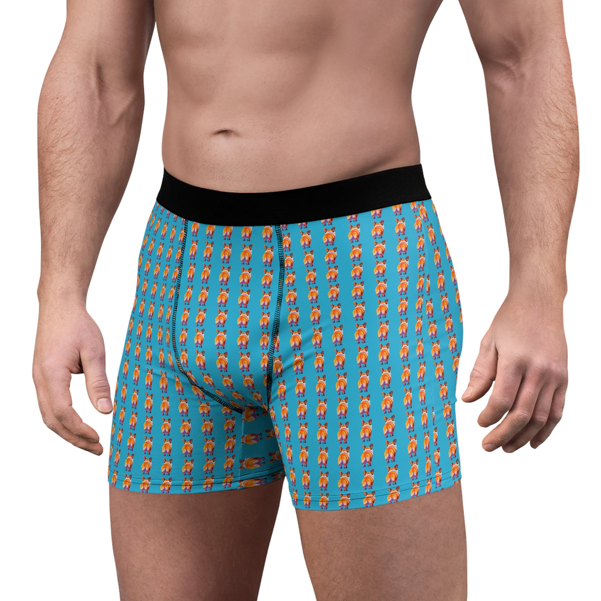 Corgi Butt Stripes Artistic Portrait - Corgi Boxer Briefs!