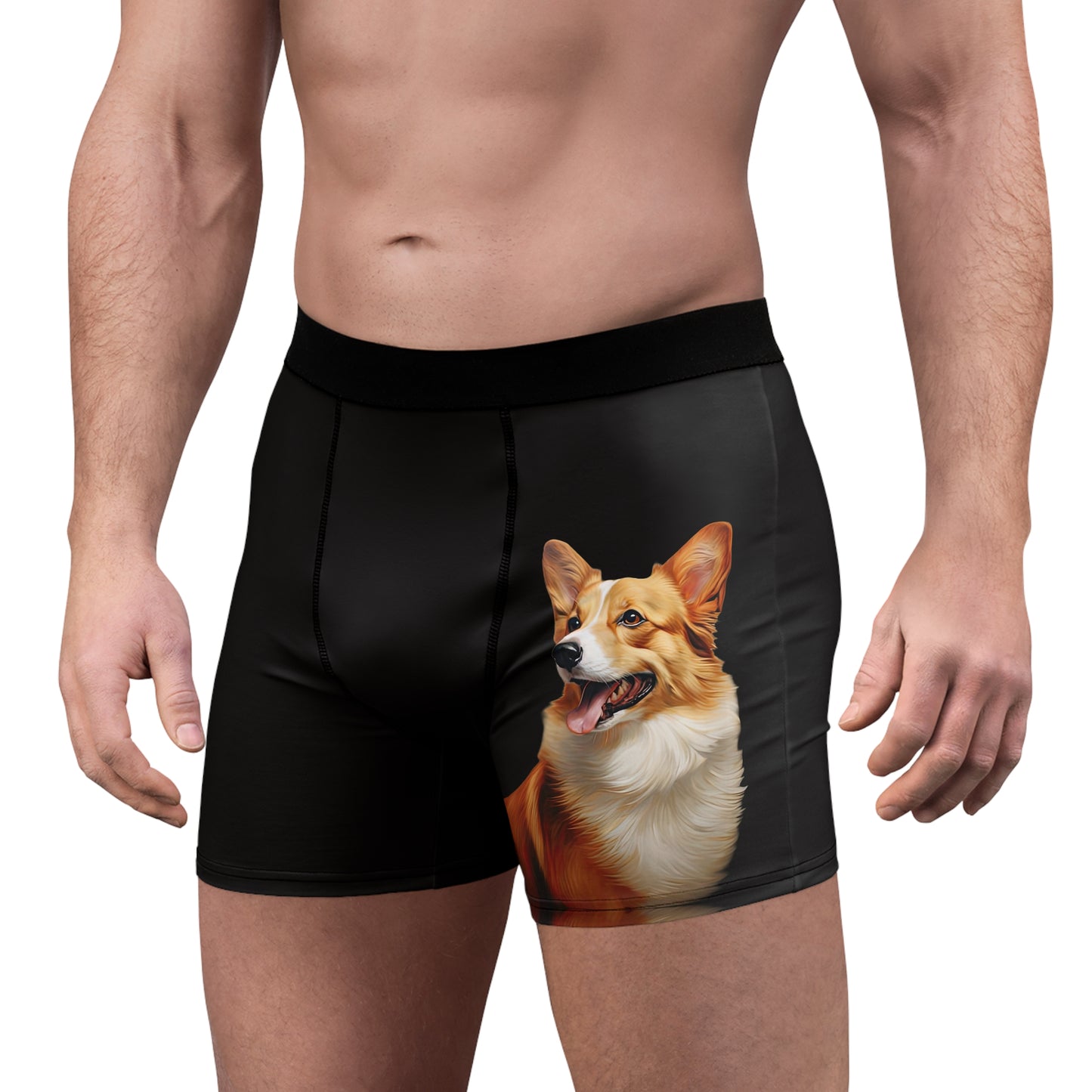 Pembroke Portrait Boxer Briefs!