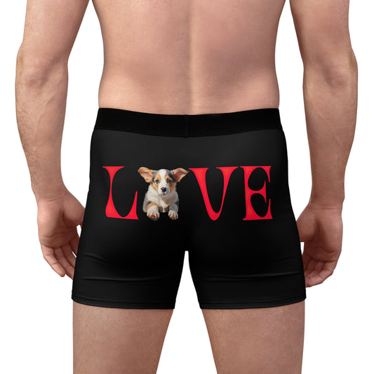 LOVE Boxer Briefs