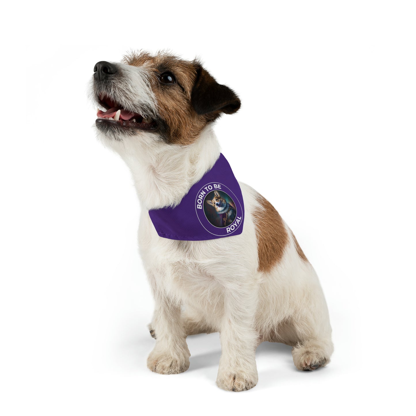 Born To Be Royal - Bandana Collar