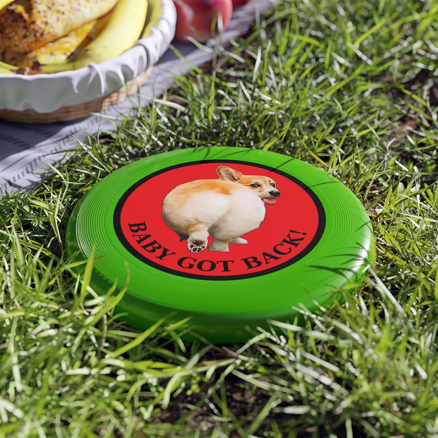 Baby Got Back - Wham-O Frisbee