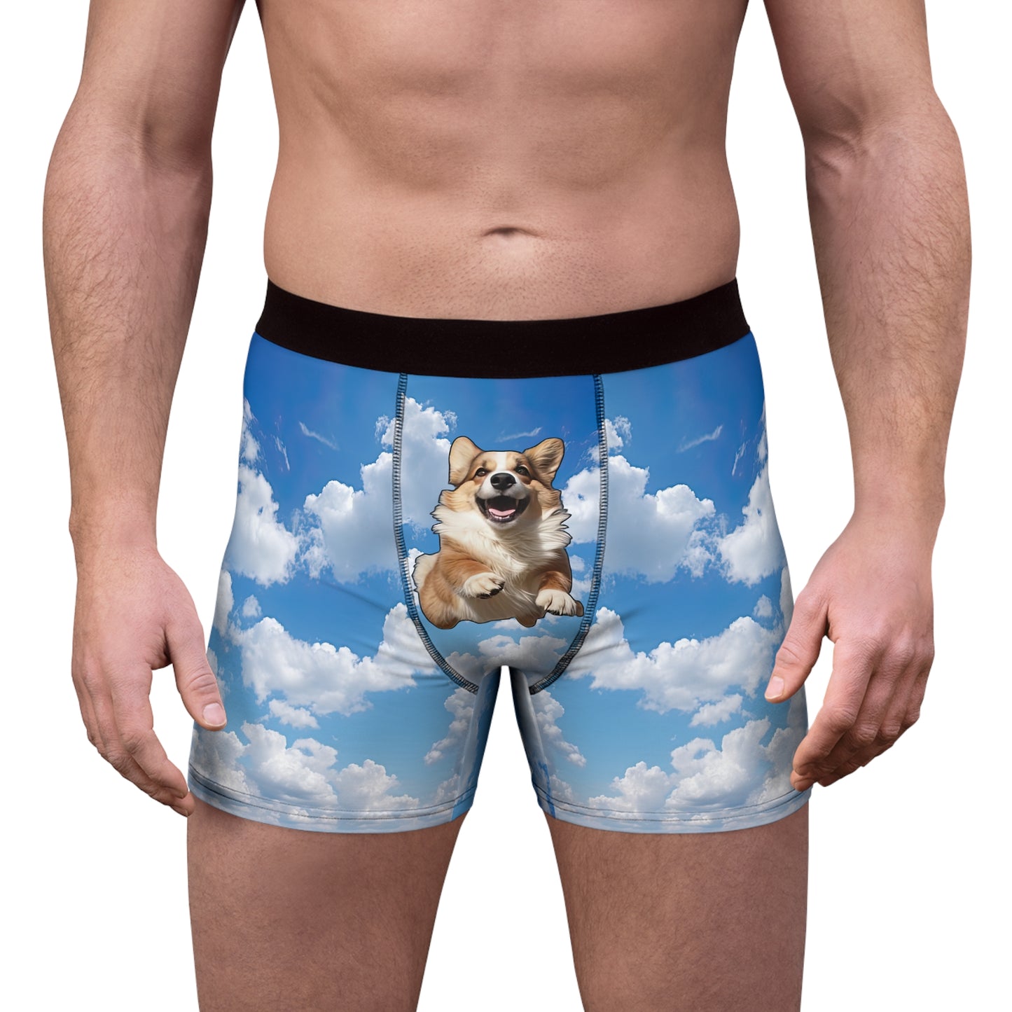 Super Corgi Boxer Briefs!