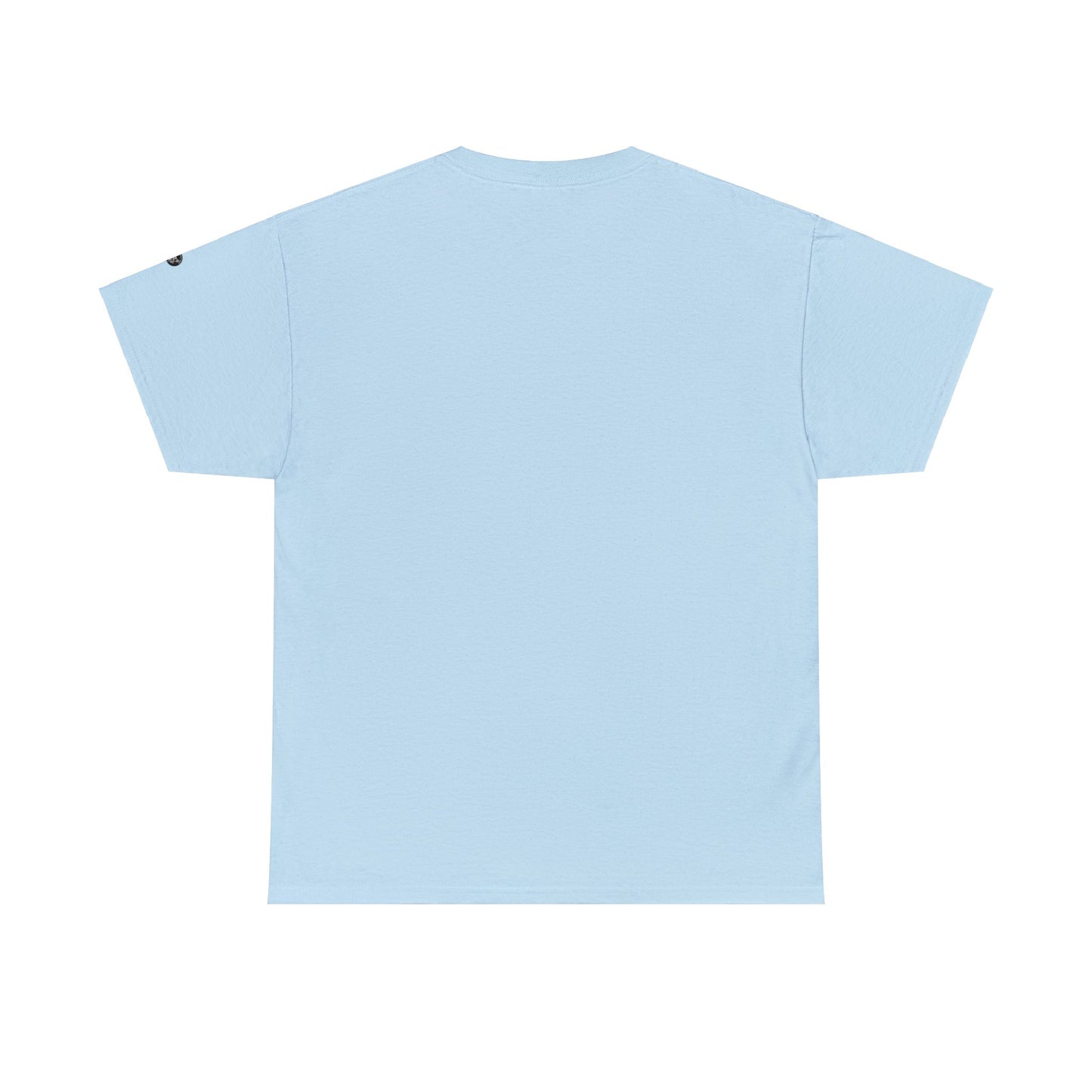 Corgi Enthusiast - Unisex Heavy Cotton Tee