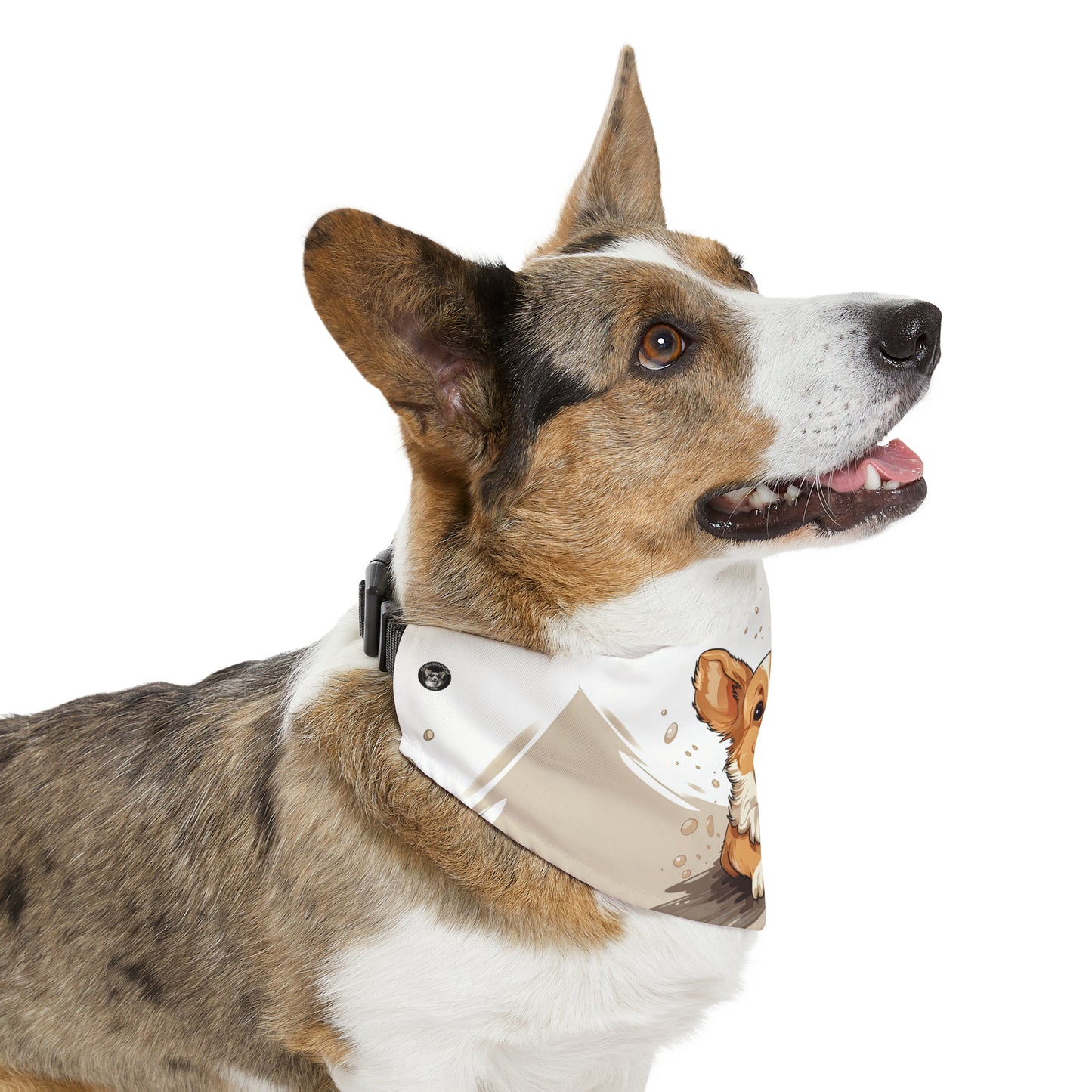 Corgi Cuteness - Bandana Collar