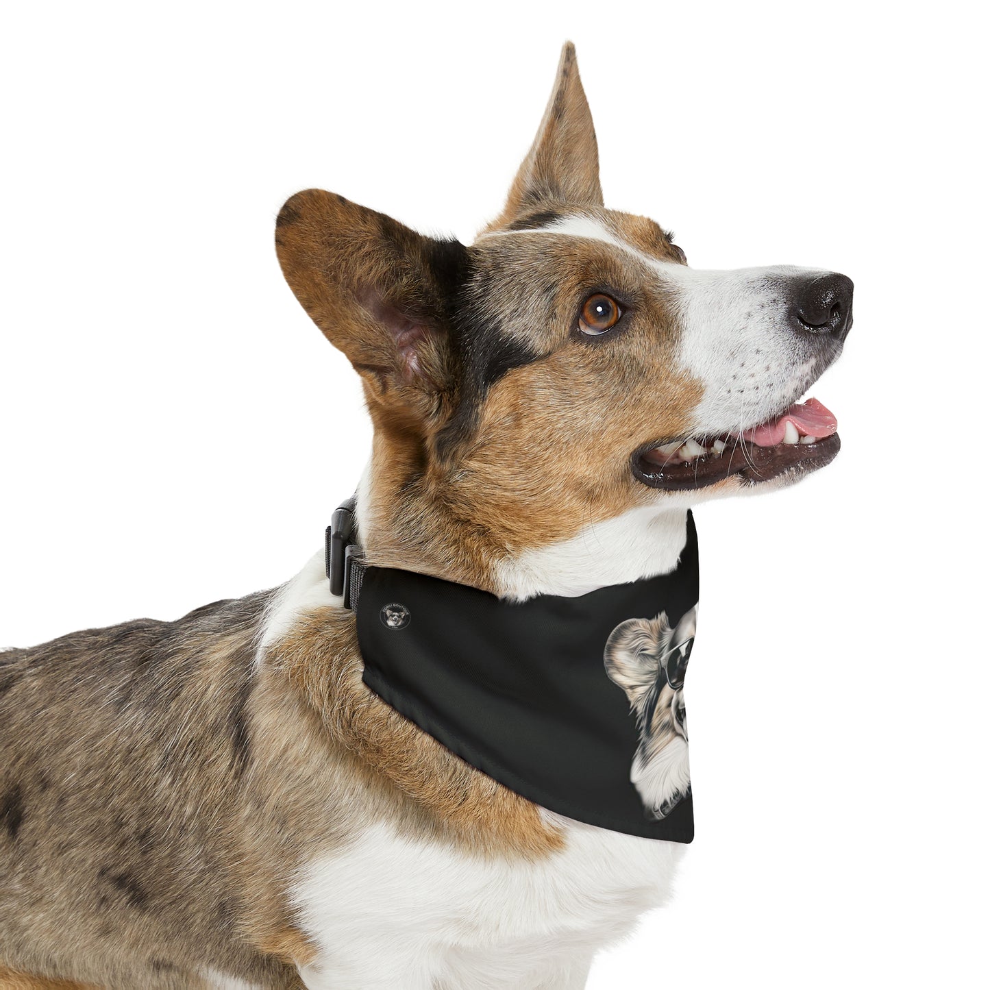 Corgi Cool -  Bandana Collar