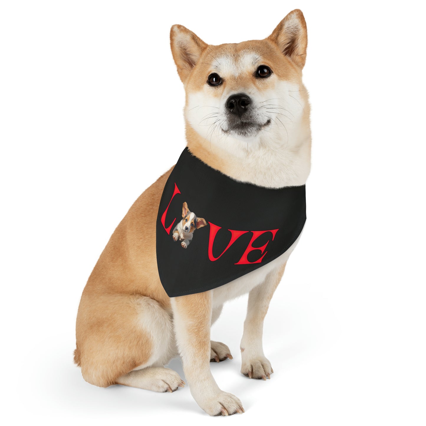 LOVE - Bandana Collar