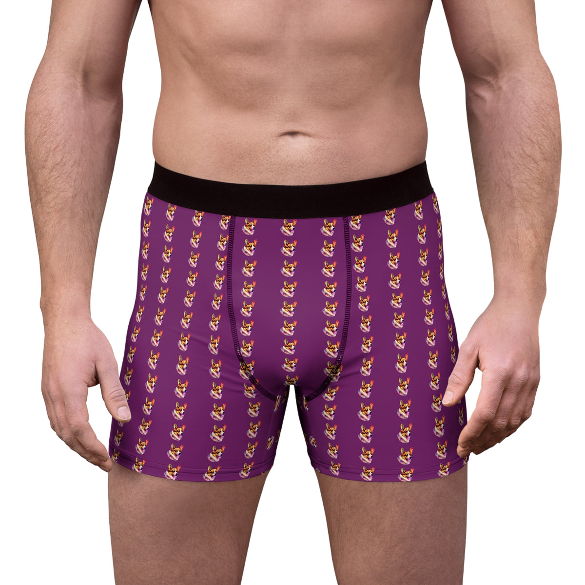 Motley Corgi Repeater Pattern Plum Boxer Briefs