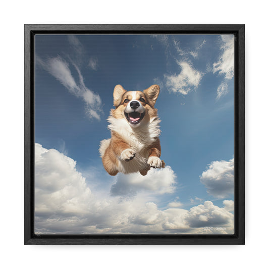 Flying Corgi - Framed on Canvas