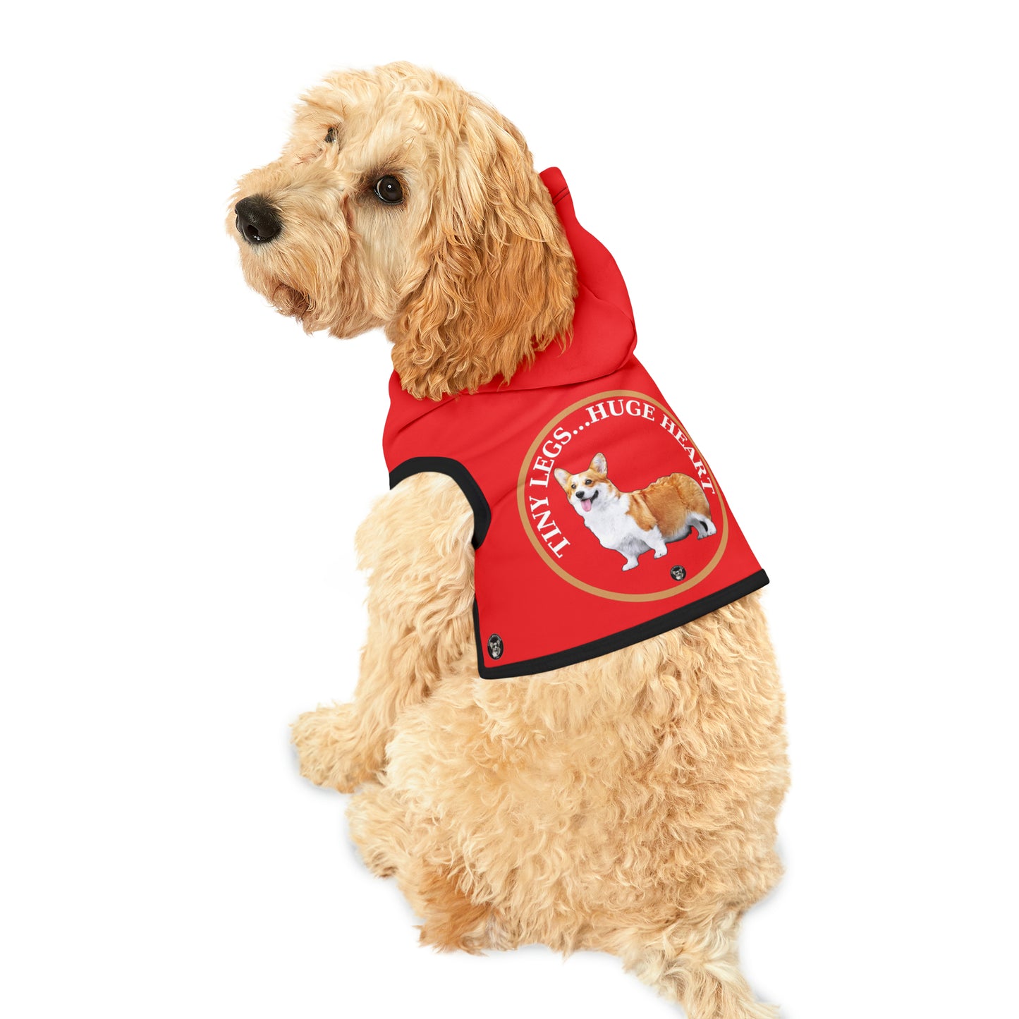 Tiny Legs...Huge Heart - Pet Hoodie
