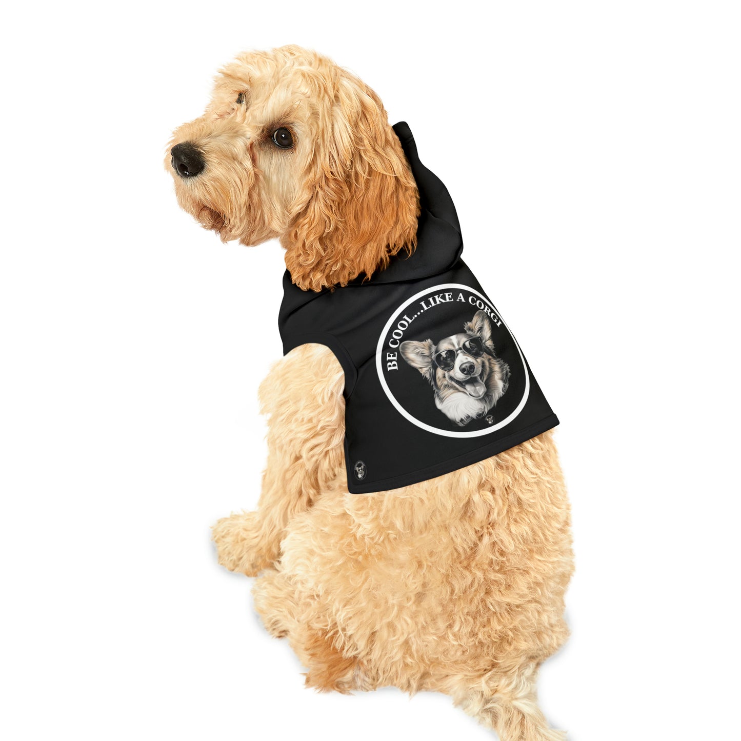 Be Cool - Pet Hoodie