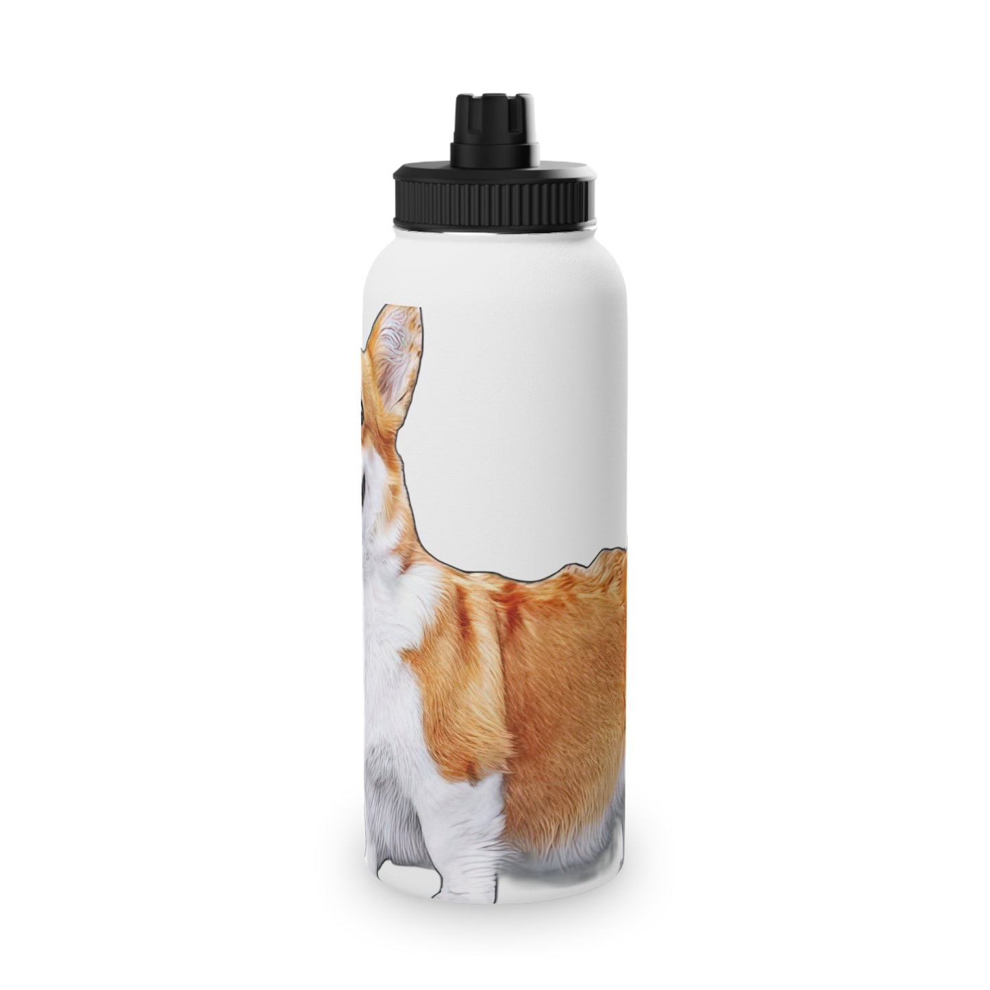 The Classic - Water Bottle with Sport Lid
