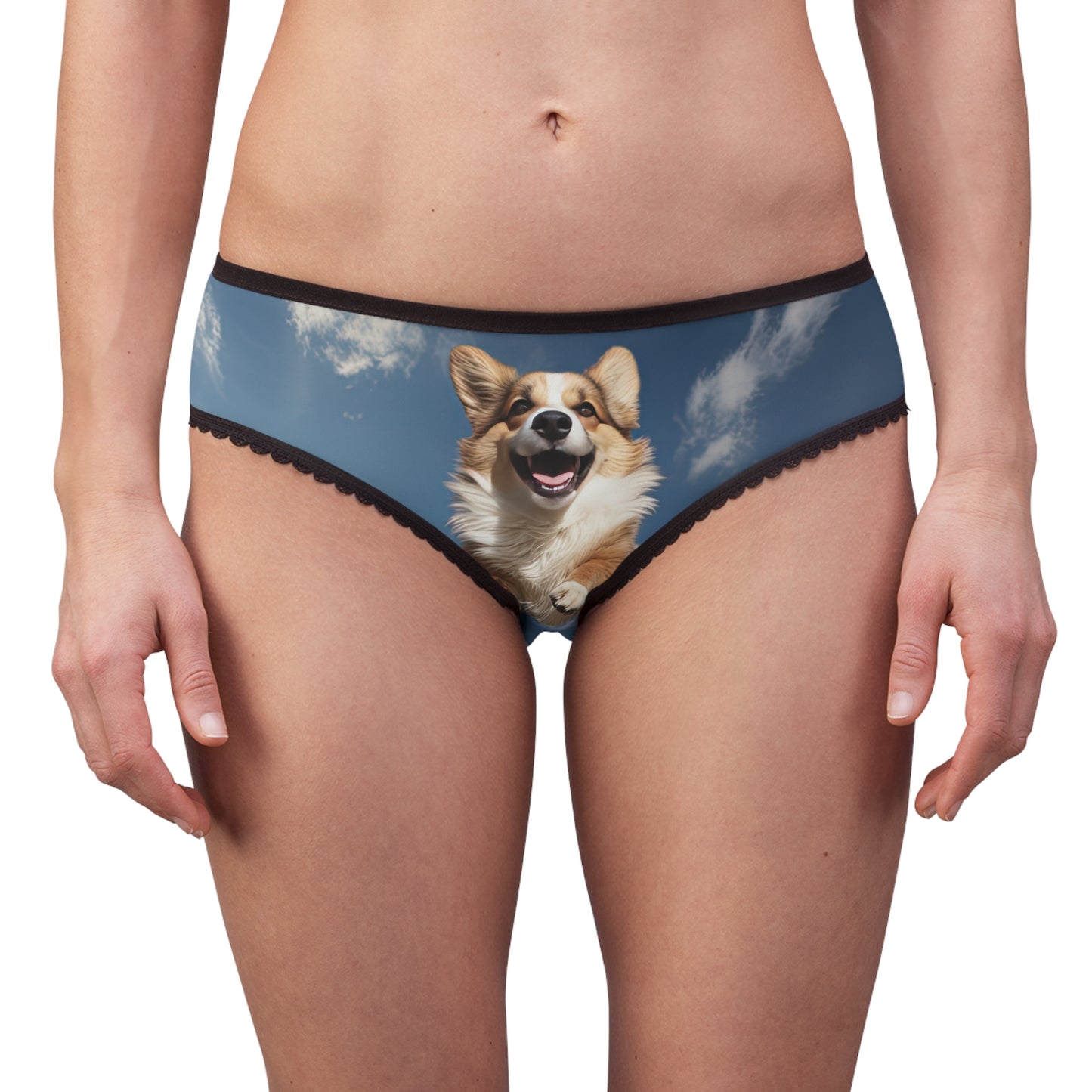 Super Corgi Panties!
