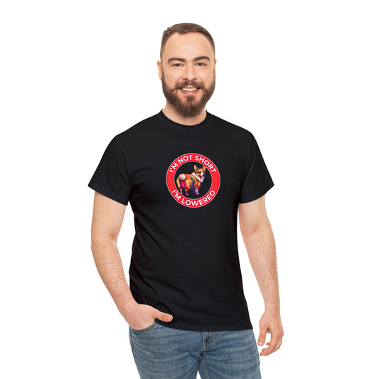 Lowrider - Unisex Heavy Cotton Tee