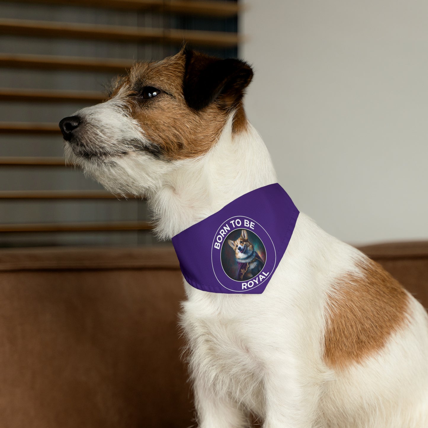 Born To Be Royal - Bandana Collar