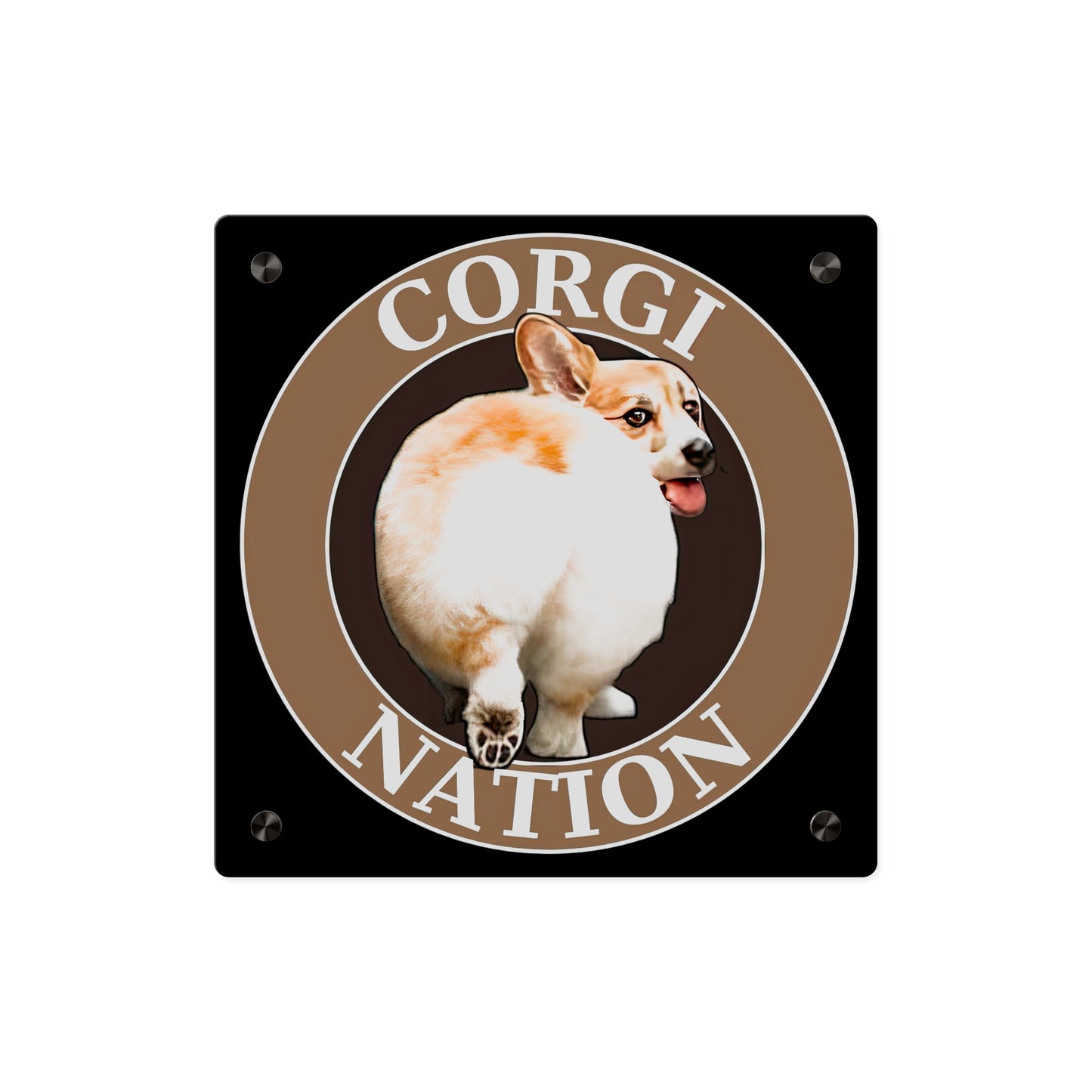 Corgi Nation on Acrylic