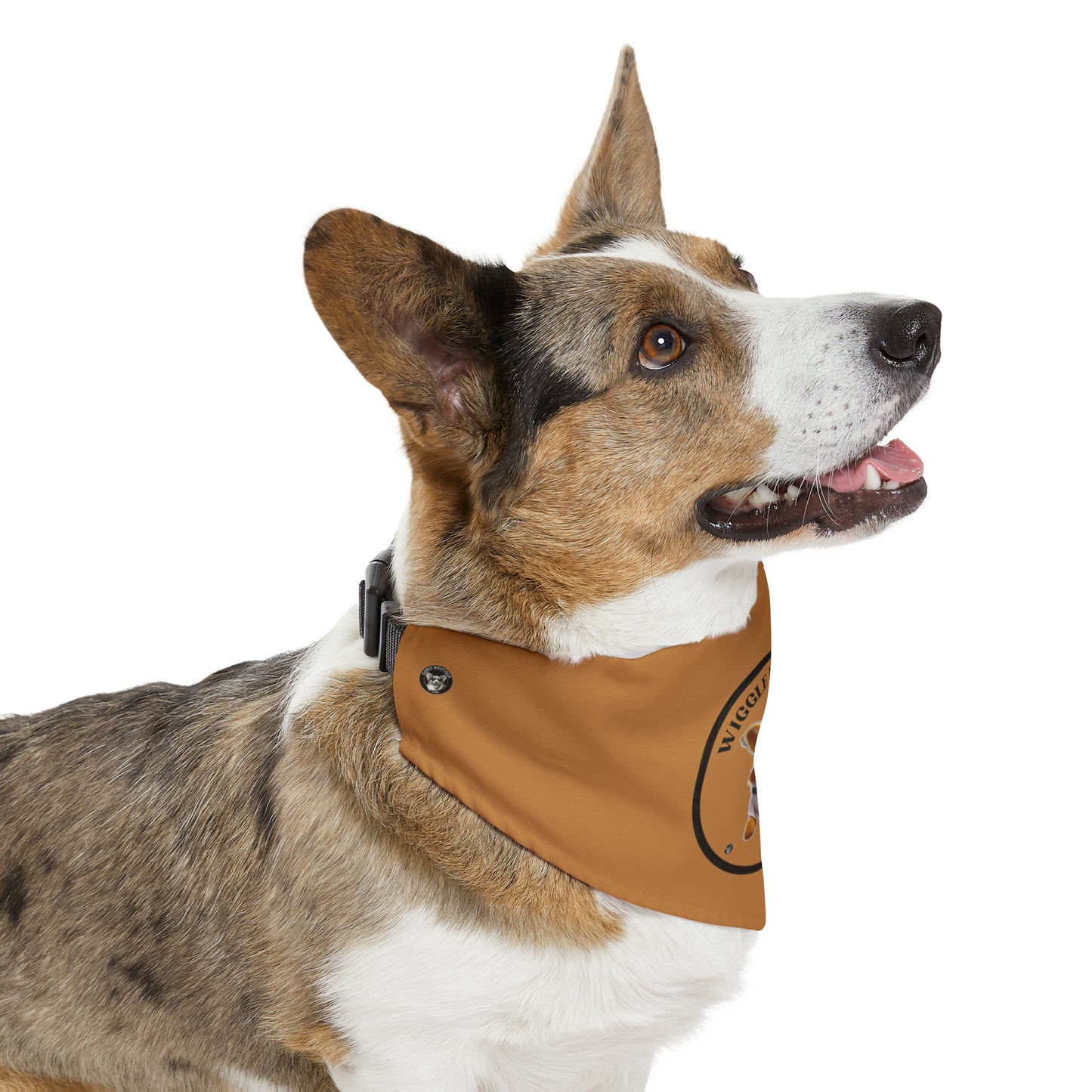 Wiggle While You Work - Bandana Collar