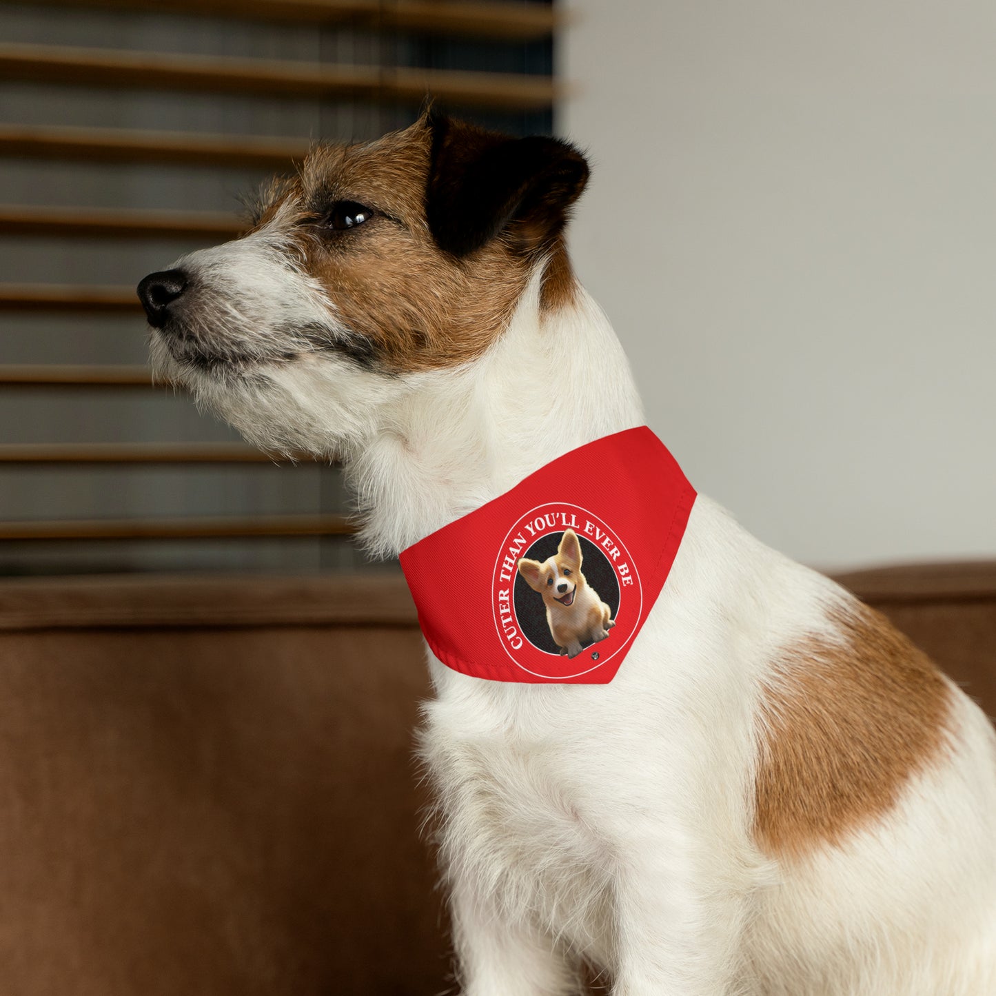 Cuter Than You - Bandana Collar