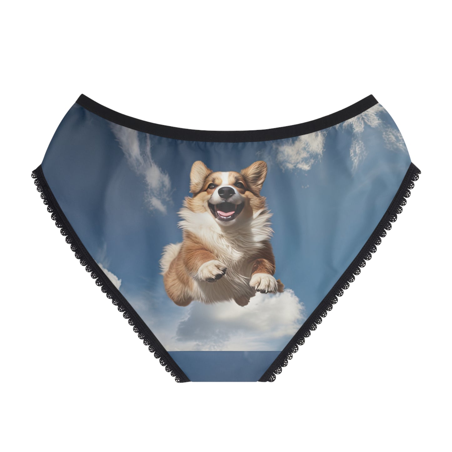 Super Corgi Panties!