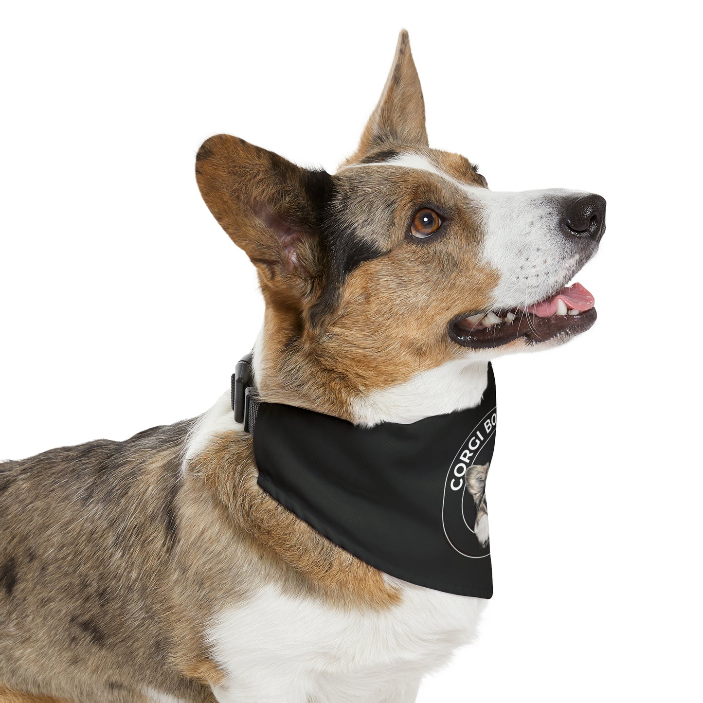 Corgi Boutique - Bandana Collar