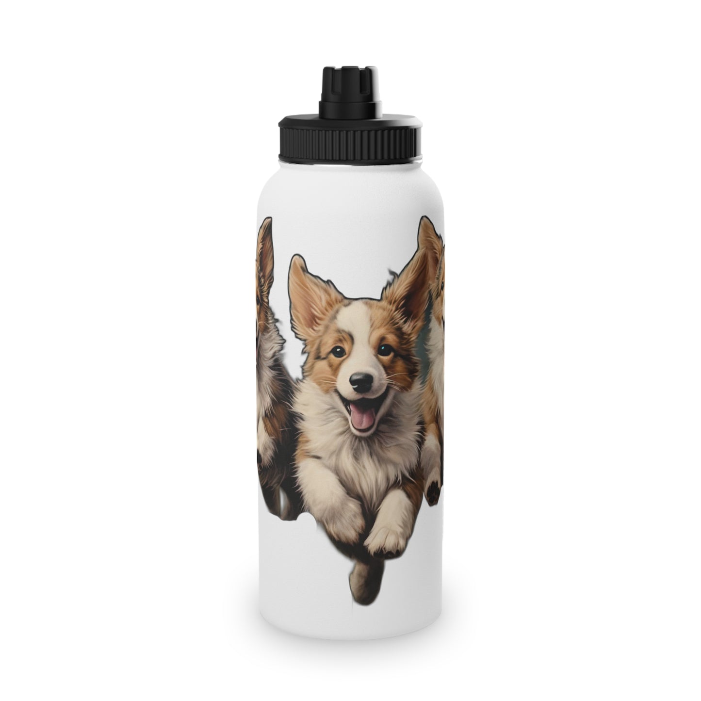 Corgi Enthusiasm - Water Bottle with Sport Lid