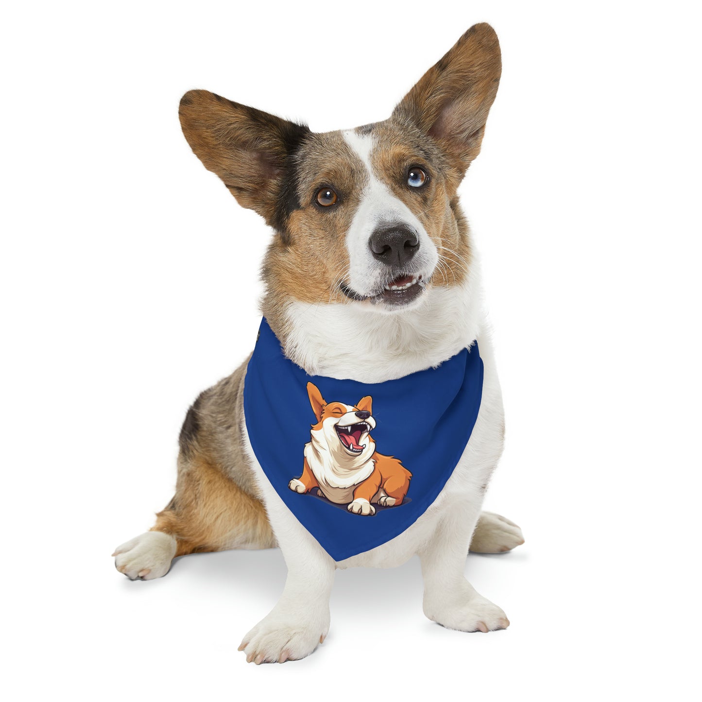 Comical Corgi - Bandana Collar