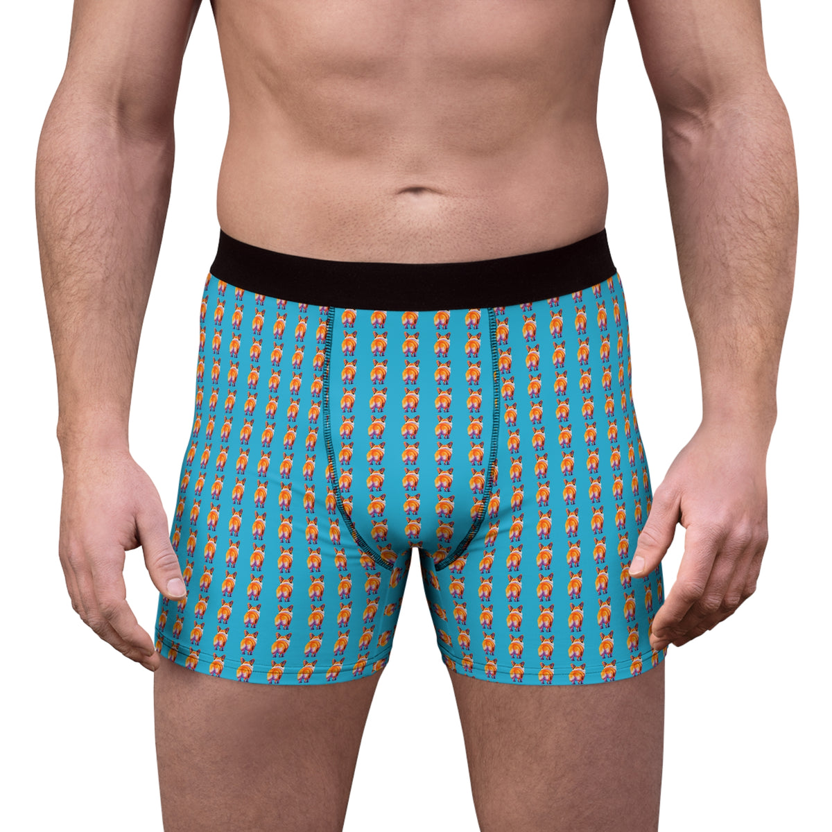 Corgi Butt Stripes Artistic Portrait - Corgi Boxer Briefs!