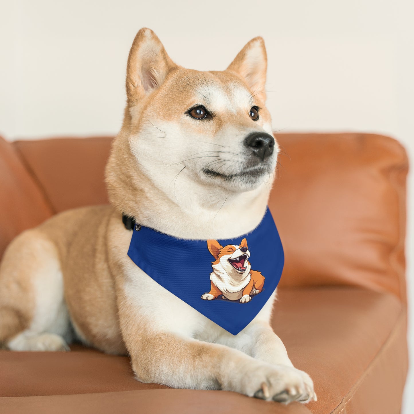 Comical Corgi - Bandana Collar