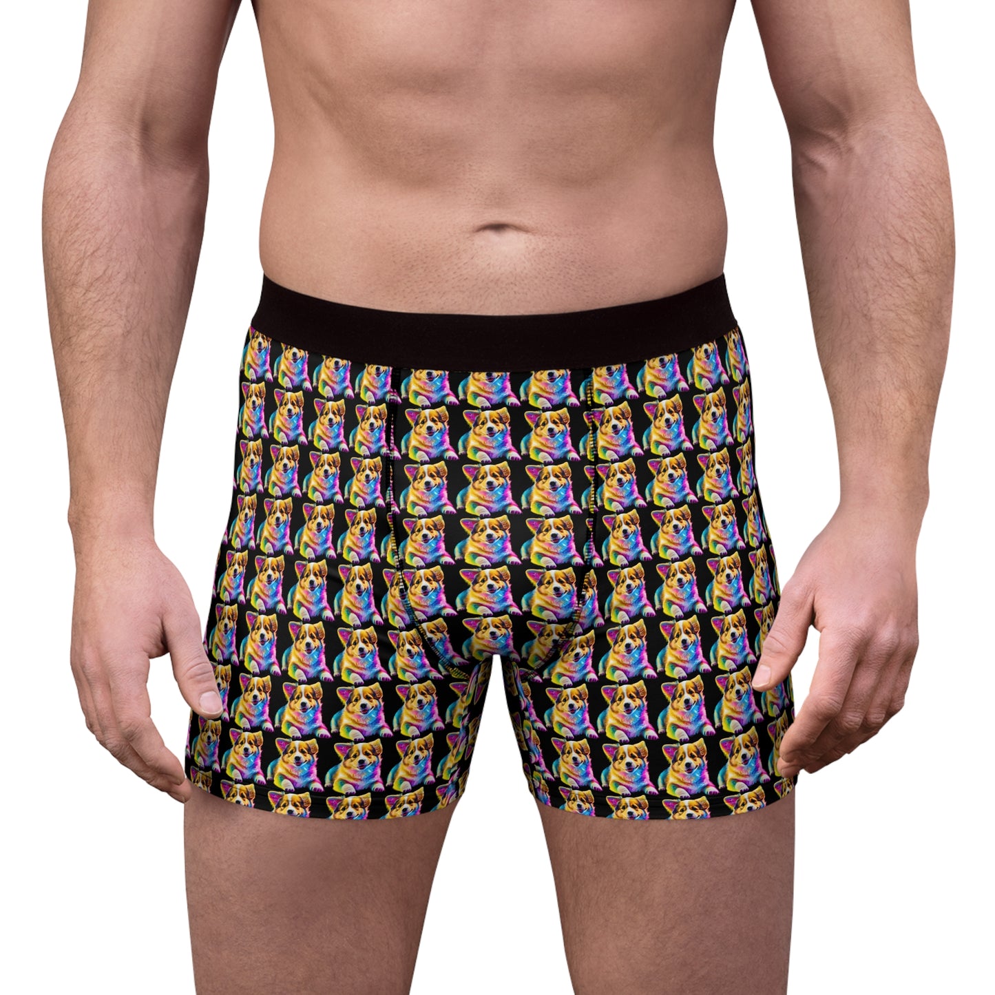 Colorful Corgi Mosaic Boxer Briefs