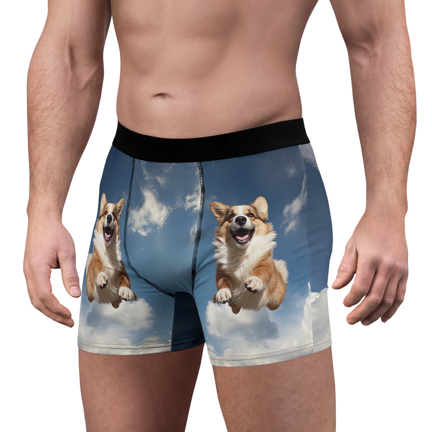 Super Corgi Boxer Briefs