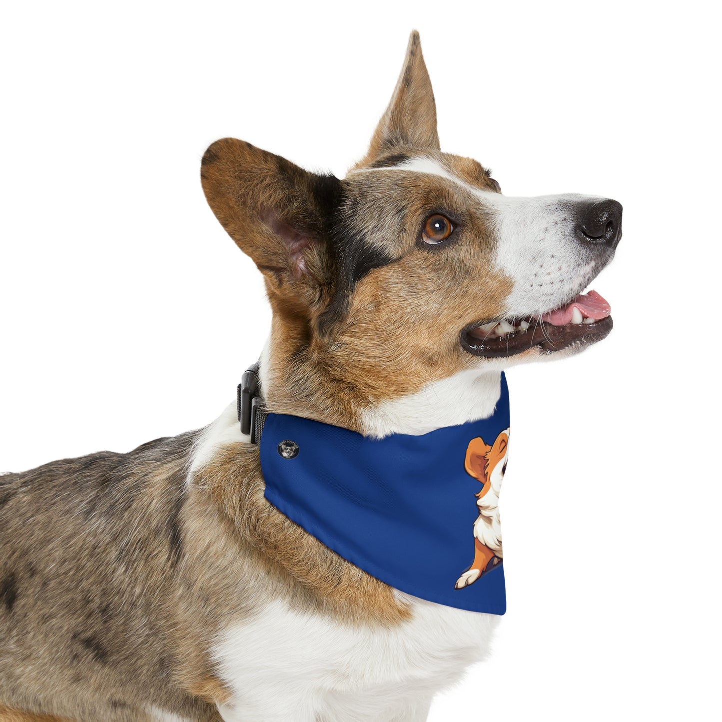 Comical Corgi - Bandana Collar