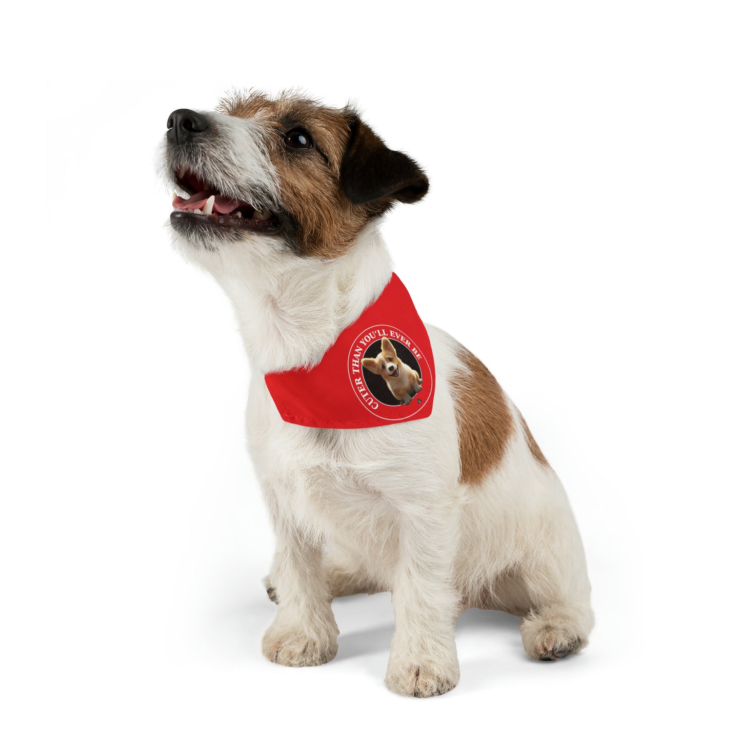 Cuter Than You - Bandana Collar