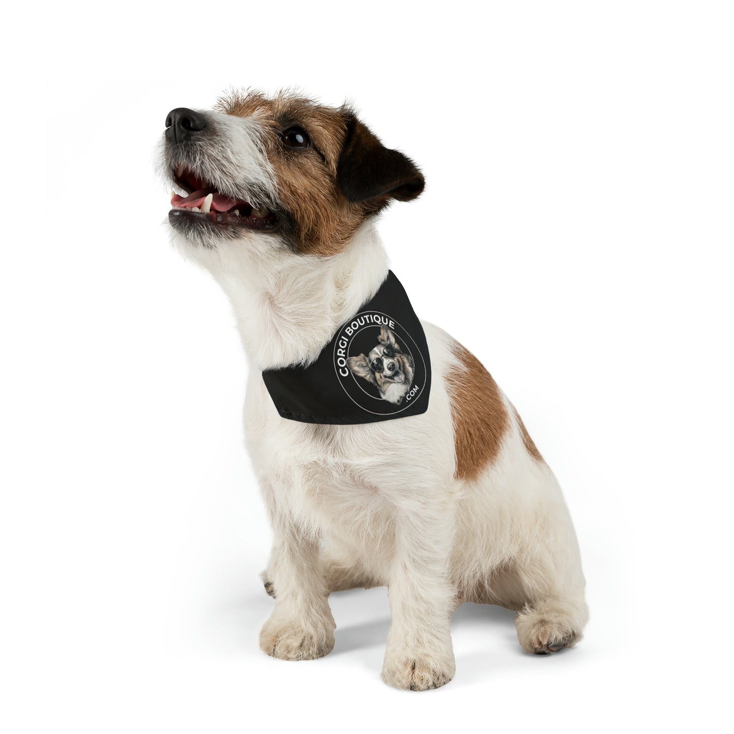 Corgi Boutique - Bandana Collar