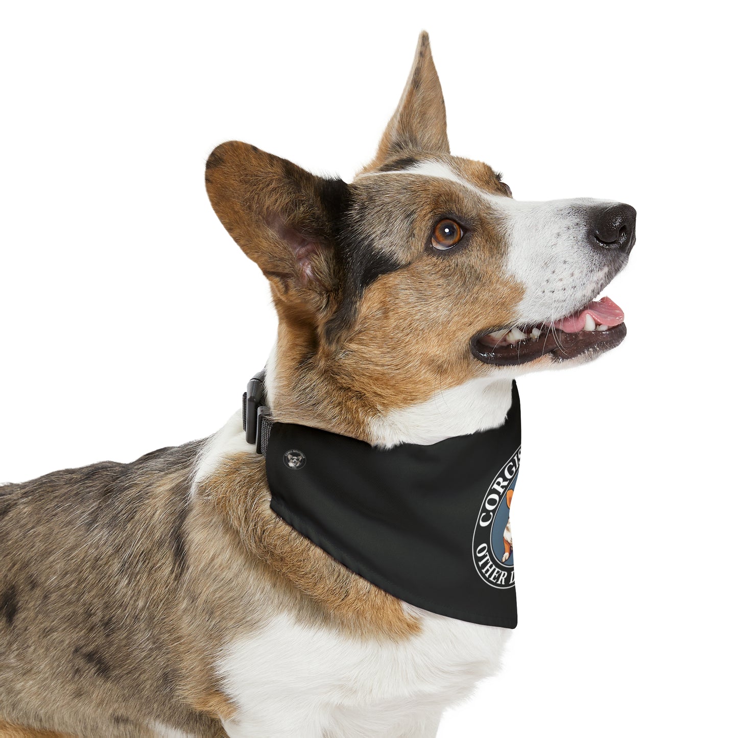 Corgis Rule...Other Dogs Drool -  Bandana Collar