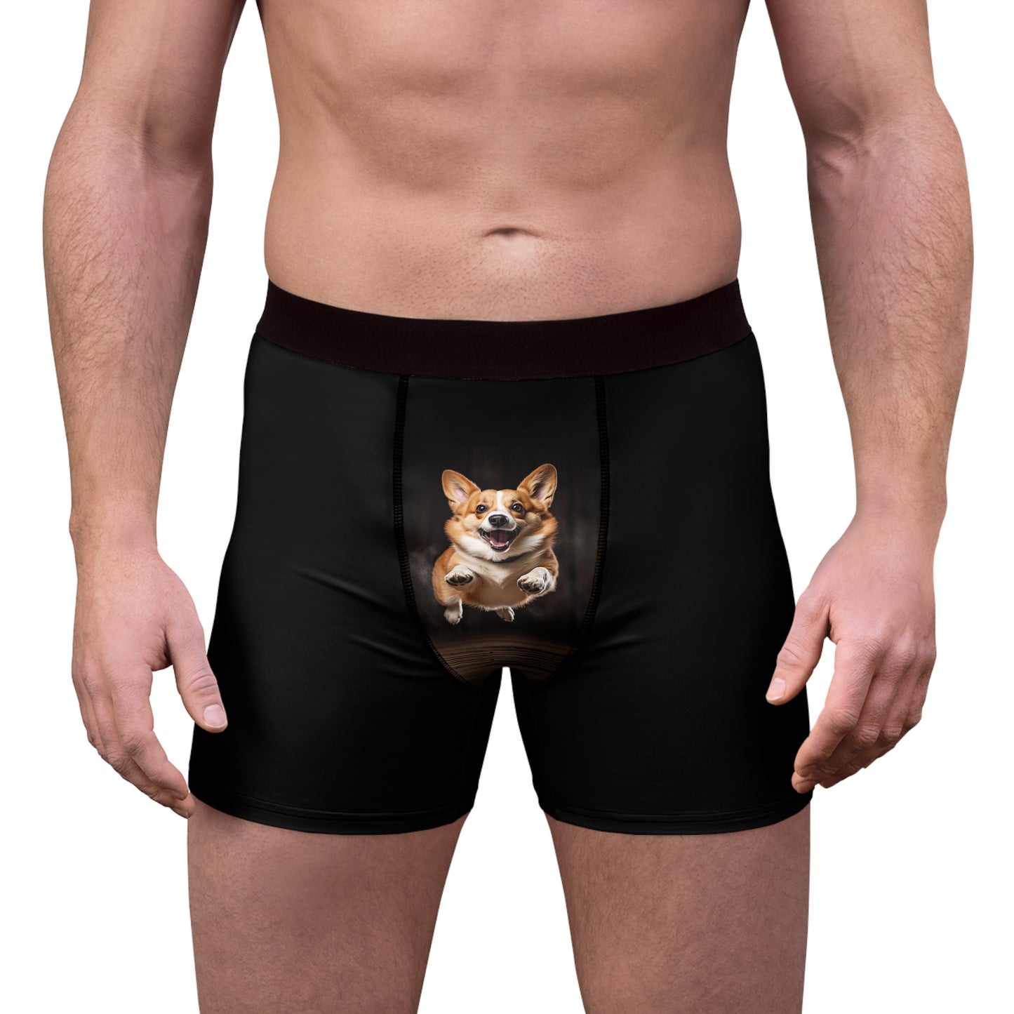 The Greeter Boxer Briefs