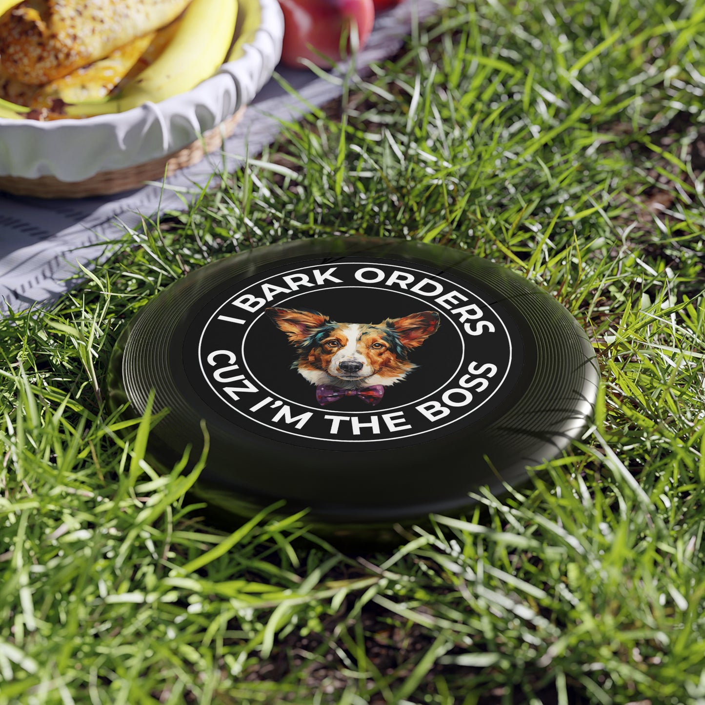 The Boss - Wham-O Frisbee